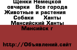 Щенки Немецкой овчарки - Все города Животные и растения » Собаки   . Ханты-Мансийский,Ханты-Мансийск г.